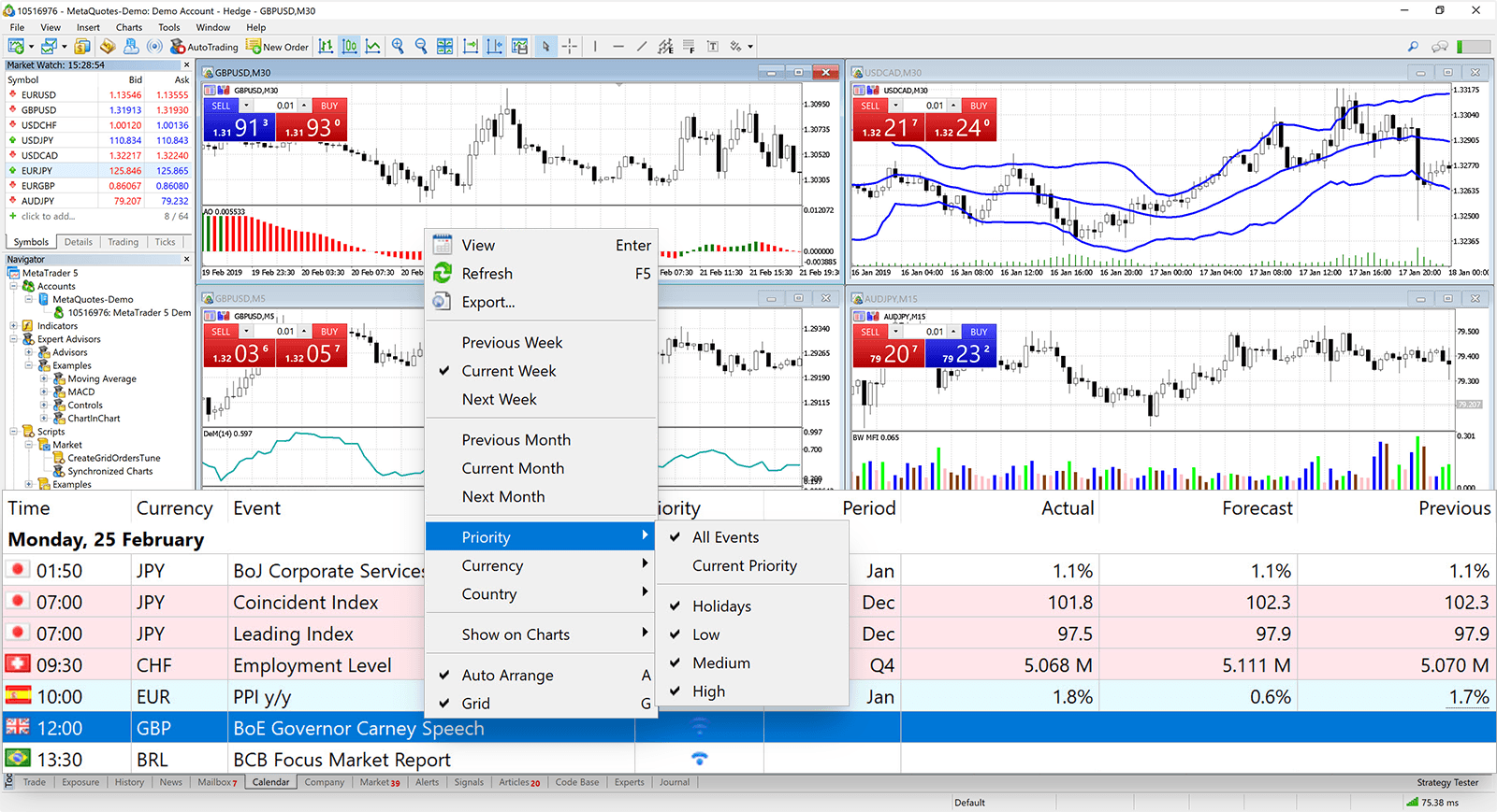 MT5 Software