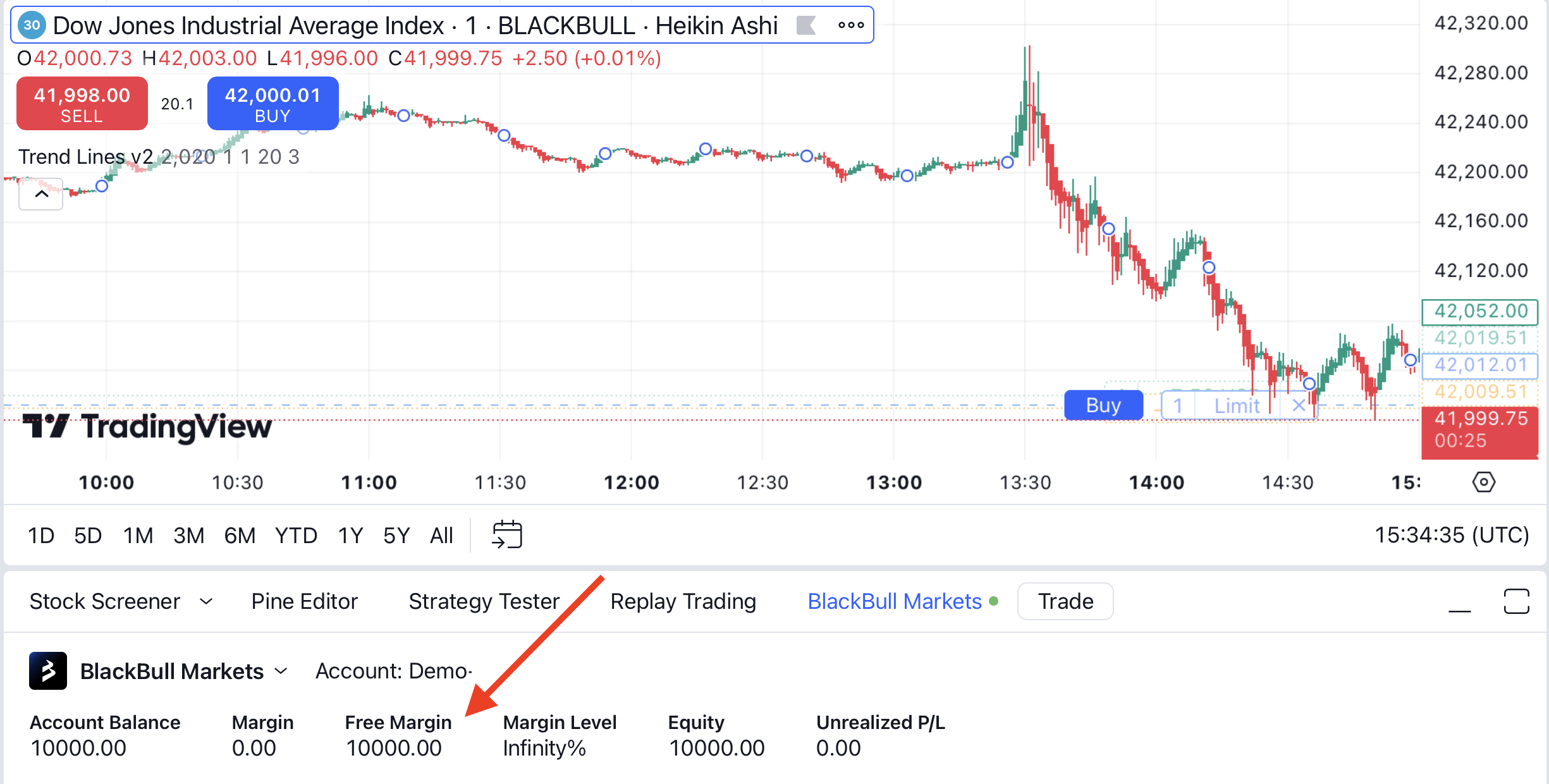 BlackBull Margin