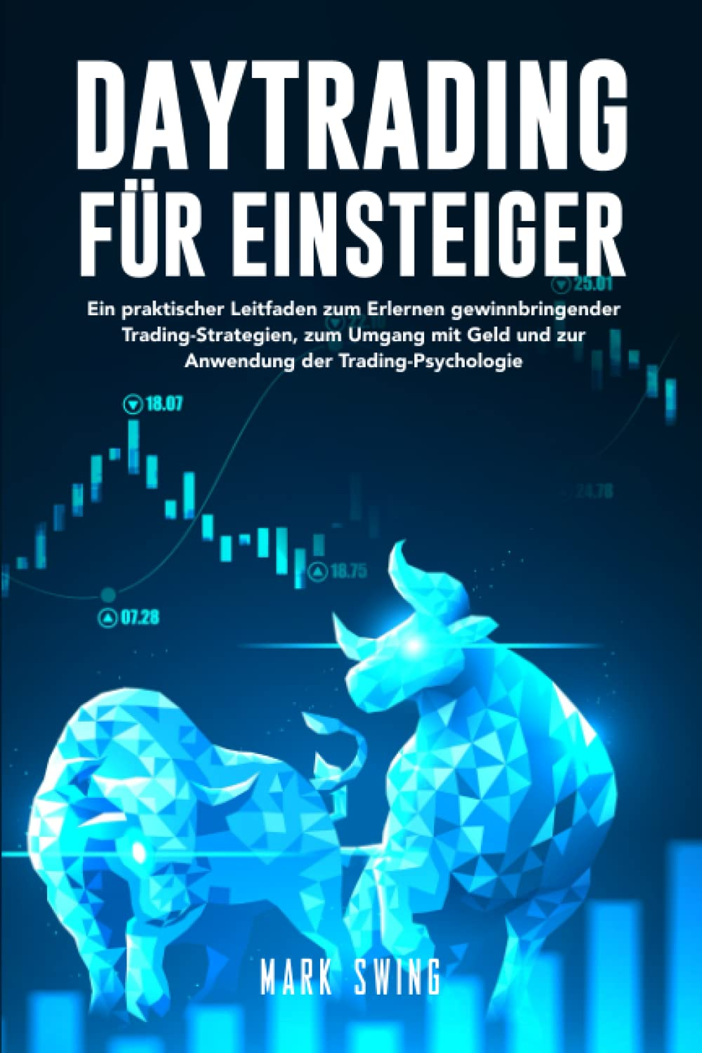 Daytrading fuer Einsteiger Buch