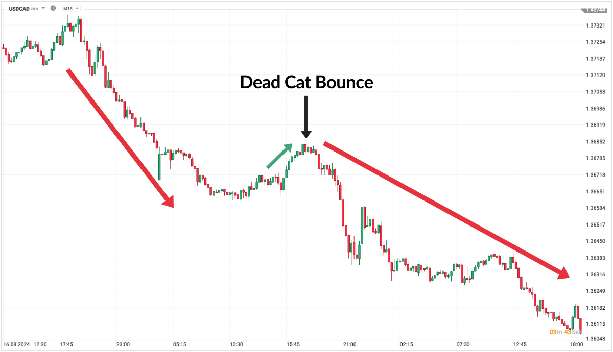 Dead Cat Bounce Chart