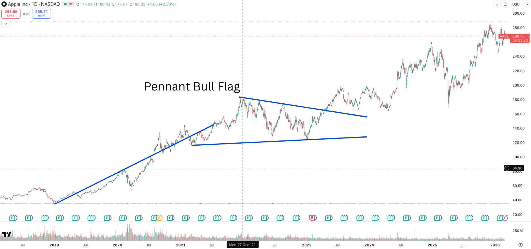 Pennant Bull Flag